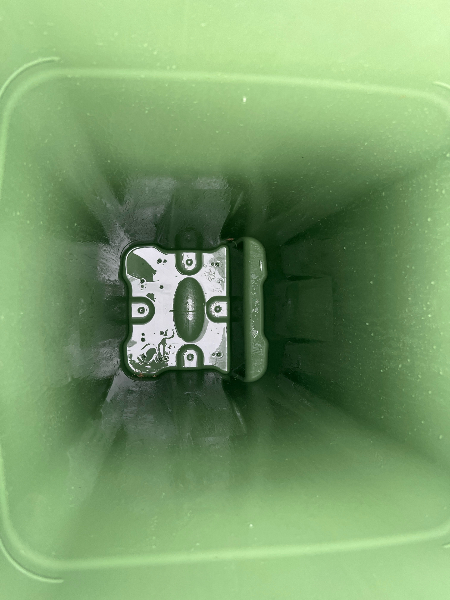 Household wheelie bin after cleaning